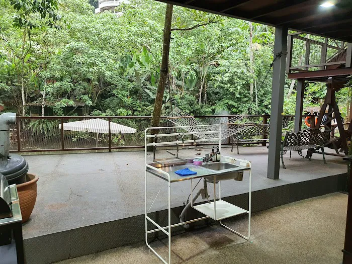 Templer Park Rainforest Retreat Picture 5