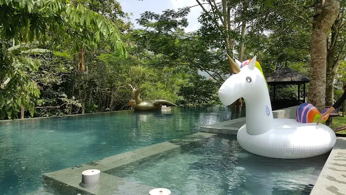 Templer Park Rainforest Retreat Picture 7