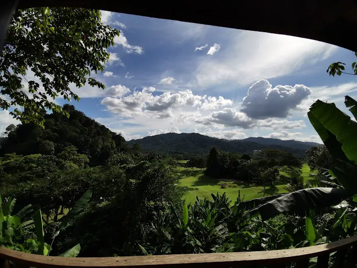 Templer Park Rainforest Retreat Picture 8