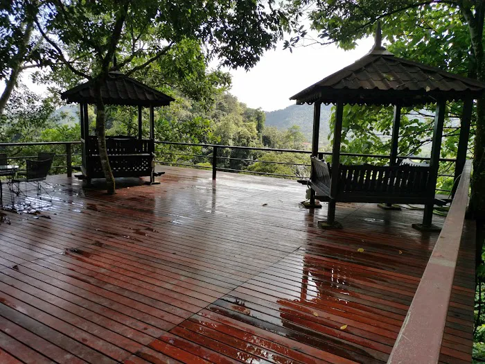 Templer Park Rainforest Retreat Picture 9