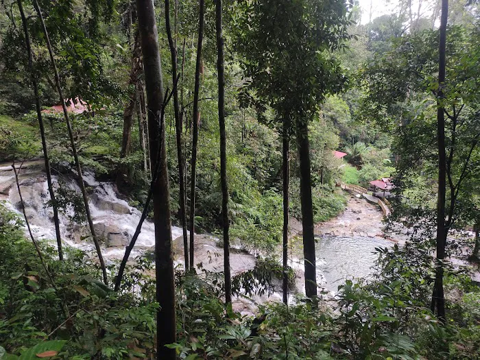 AWJ Templer Park Homestay and Jungle Resort Picture 6
