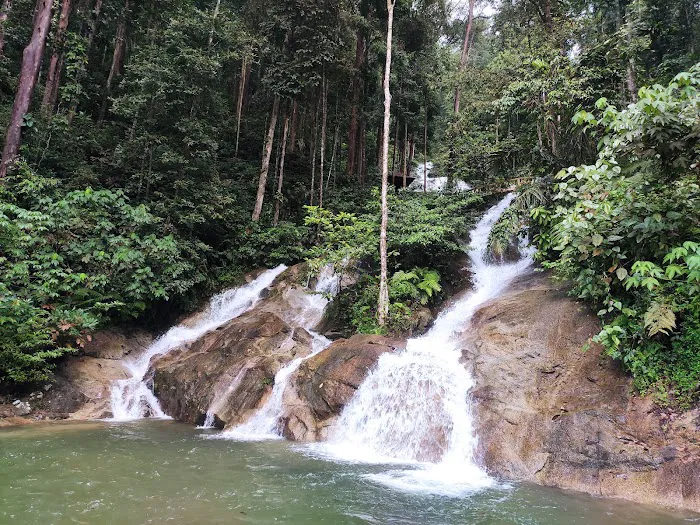 AWJ Templer Park Homestay and Jungle Resort Picture 7