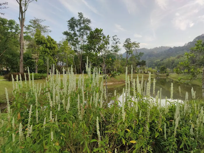 Essex Garden, Setia Eco Templer Picture 4