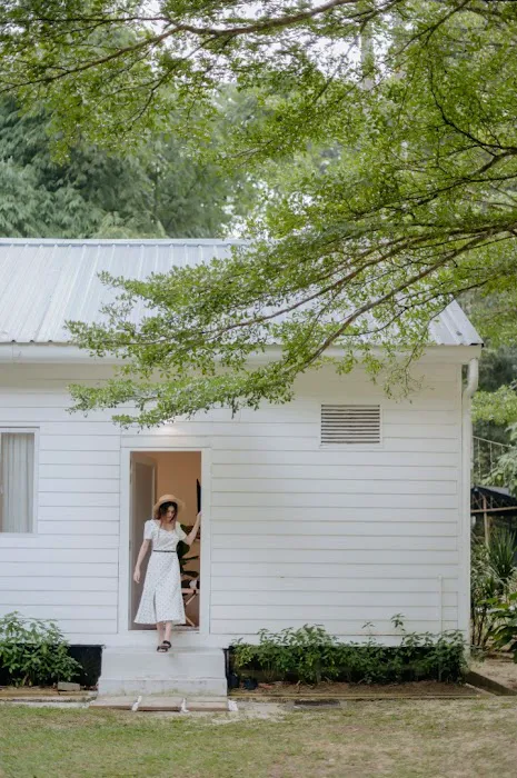 The White Cottage by IO Home Picture 2