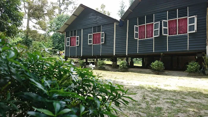 KG PAYA PELANTAR Picture 3