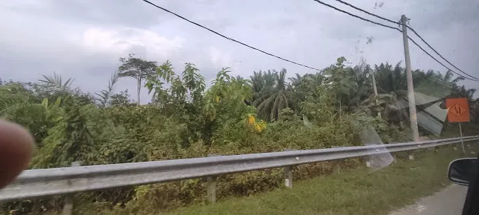 KG PAYA PELANTAR Picture 2