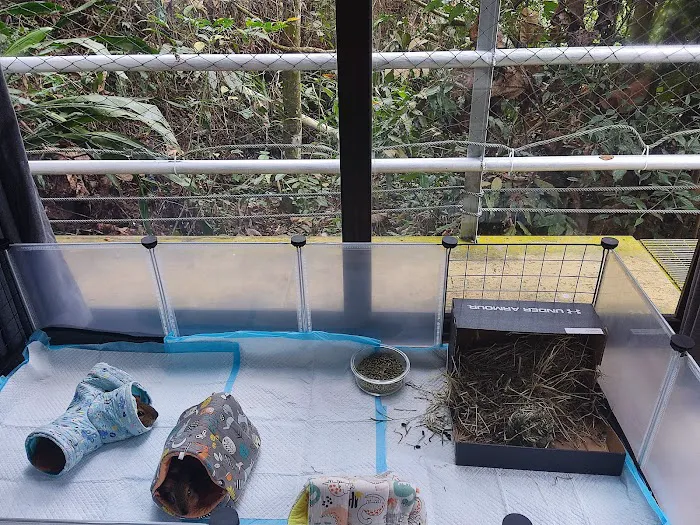 Gibbon Retreat Bentong Picture 3