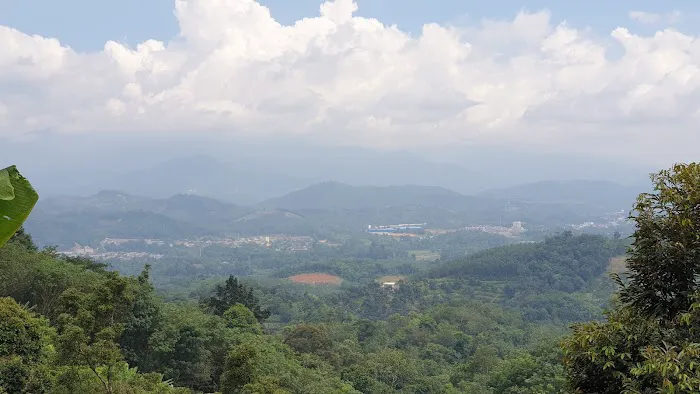 YJR Resort Picture 7