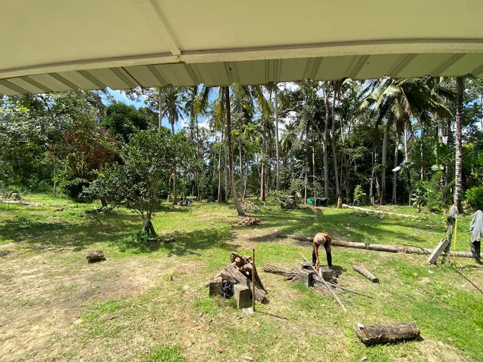 Homestay Dusun To’kie Jerantut Picture 6