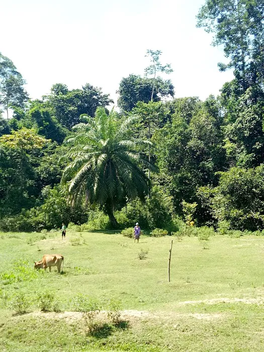 Kampung paya garuk Picture 2