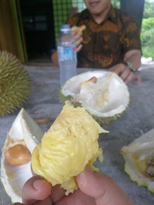 Kampung paya garuk Picture 6
