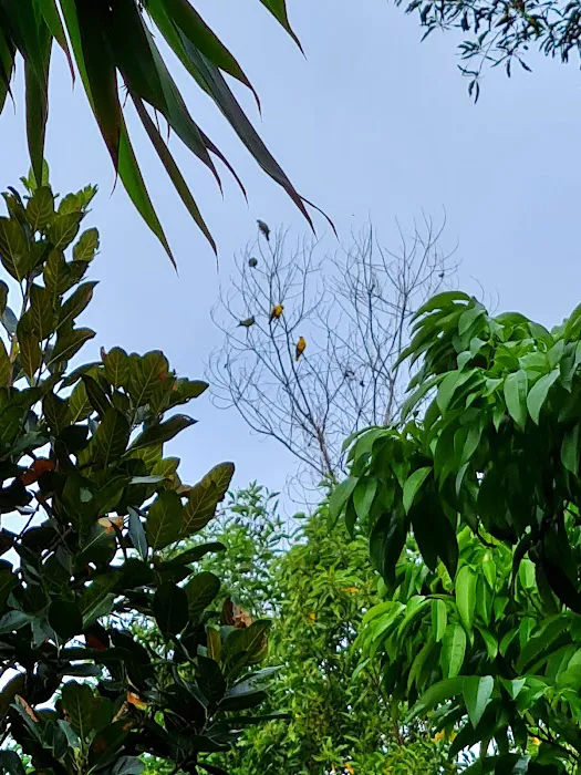 EudoraPlace Seri Kembangan Picture 9