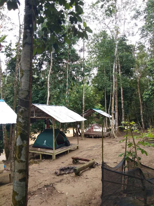 Lembah Peladang Agro Park Campsite Picture 5