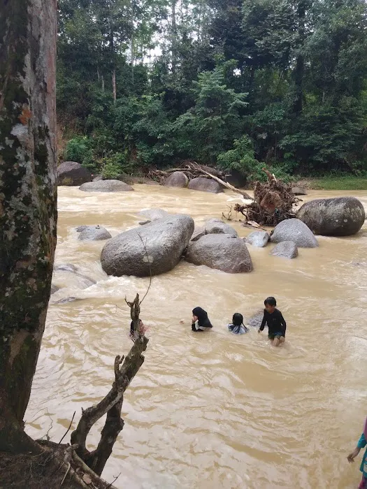 Lembah Peladang Agro Park Campsite Picture 8