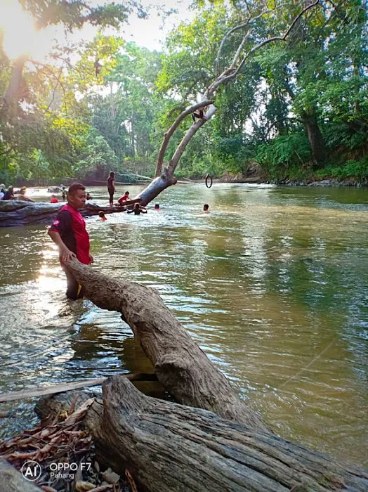 D'Farida River View Chalet Picture 6