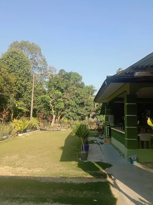 Rumah hijau rumput karpet Picture 3