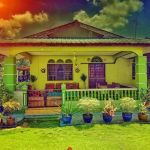 Rumah hijau rumput karpet