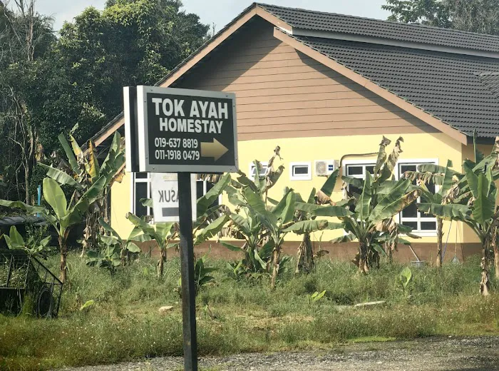 Tok Ayah Homestay Picture 2