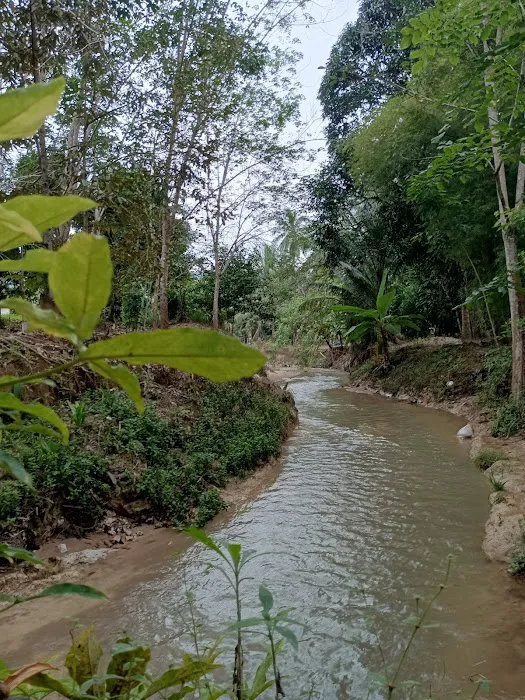 Homestay Maksu Picture 8