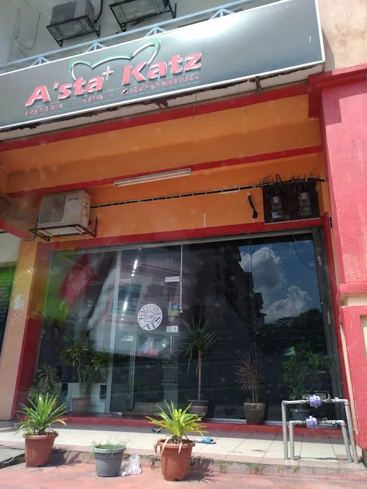 Asta Katz Picture 5