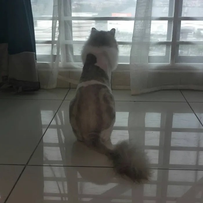Asta Katz Picture 9