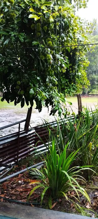 Homestay Kuala Klawang, Jelebu, Negeri Sembilan Picture 6