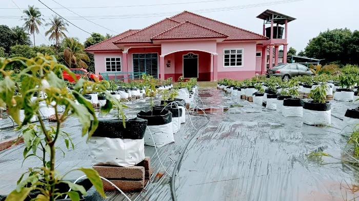 Ummi Noriah Guesthouse Picture 3