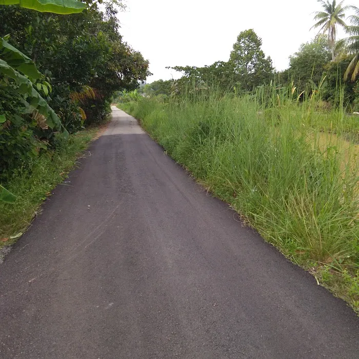 Homestay Kampung Padang Picture 6