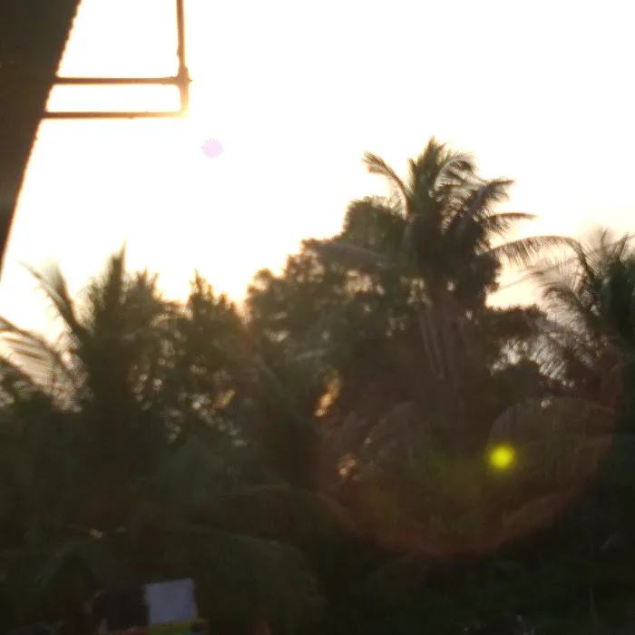 Homestay Kampung Padang Picture 5