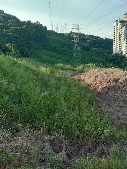 Sunway Rymba Hills Picture 6