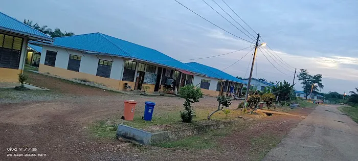 Palong 21 FGV PLANTATION Picture 2