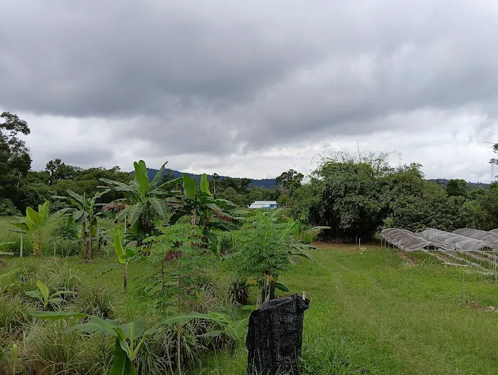 HOMESTAY RIMBUNAN HIJAU KUALA KANGSAR Picture 6
