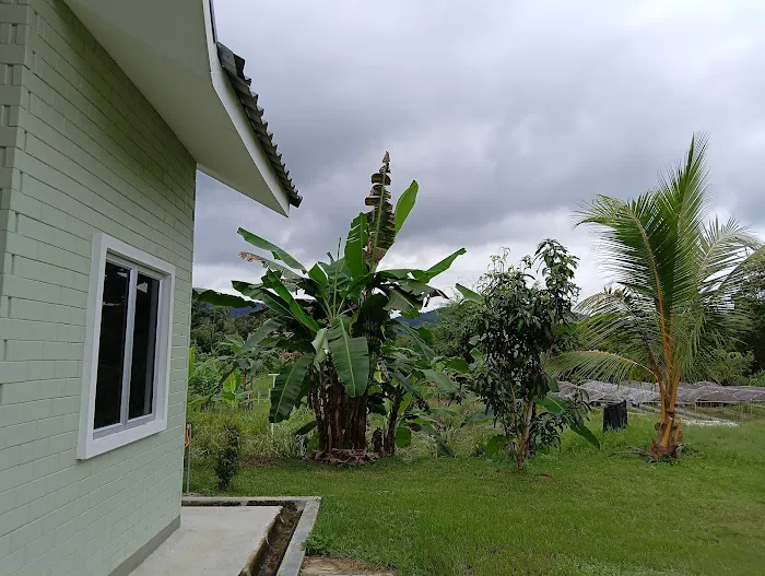 HOMESTAY RIMBUNAN HIJAU KUALA KANGSAR Picture 8