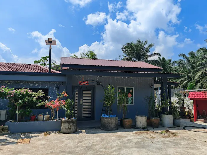 Garden Guesthouse 花园民宿🏨 Picture 3