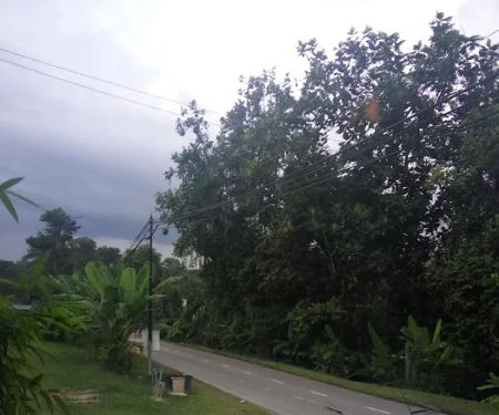 Melati Homestay