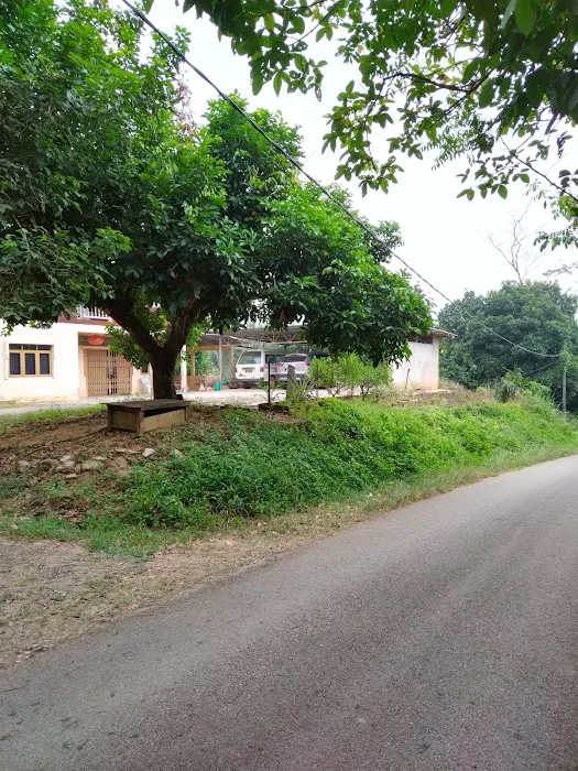 Kampung bedal Picture 2