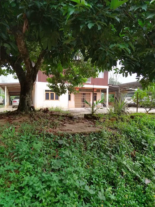 Kampung bedal Picture 1