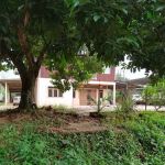 Kampung bedal
