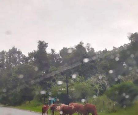 Temangan Lama