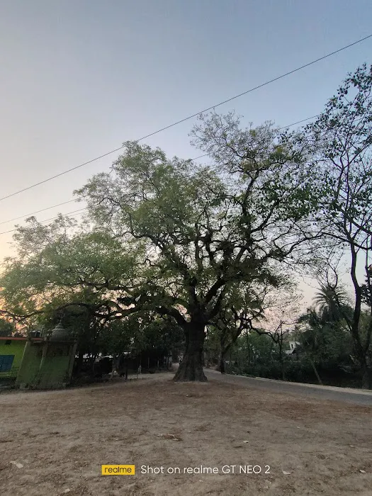 jessore khulana bejoynagor Picture 2