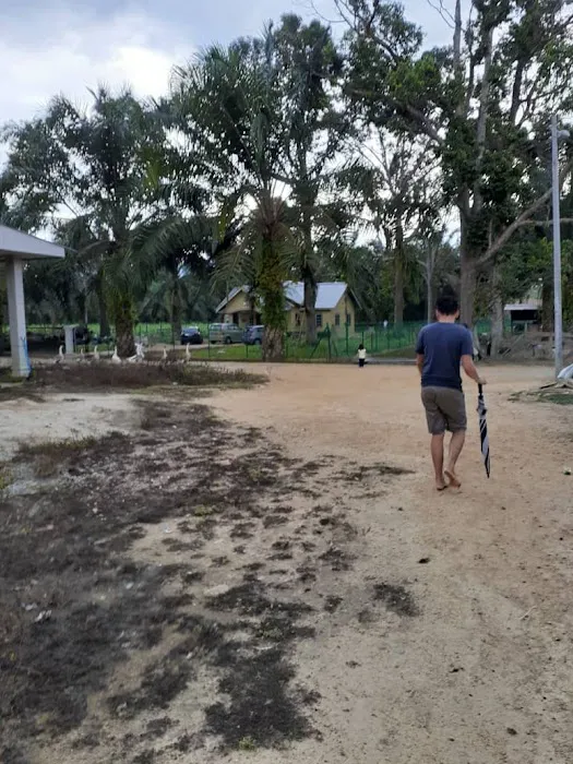 D'Melana Homestay Picture 9