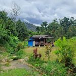 Rohas Garden Park