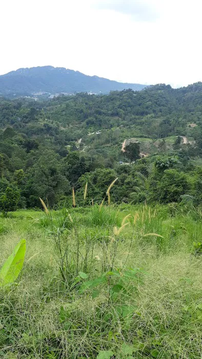Rohas Garden Park Picture 9