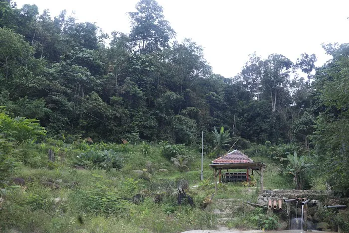 Rohas Garden Park Picture 10