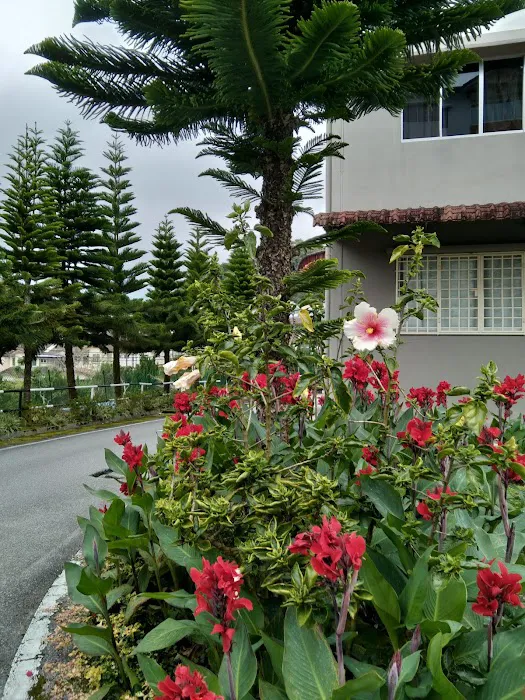 Damia Apartment Picture 2