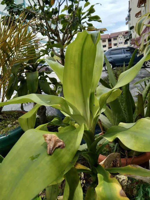 Damia Apartment Picture 9