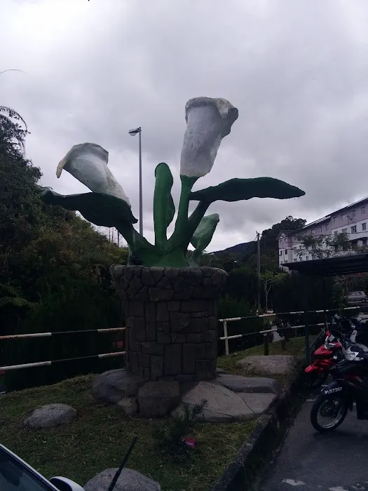calla lily boutique hotel Picture 11