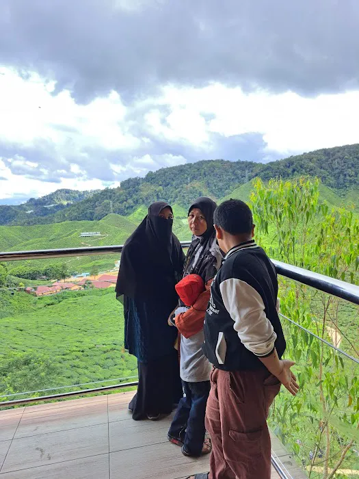 Holiday Homestay Cameron Highlands Picture 10