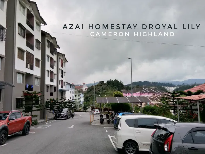 Azai Homestay Picture 3