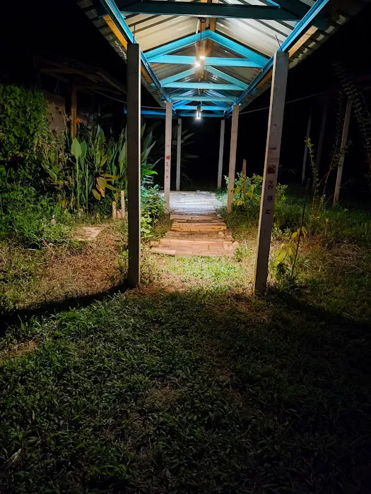 Sankofa Landscape, Merapoh Picture 9